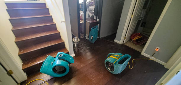 Best Flood damage cleanup  in Aubrey, TX