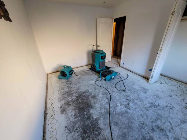 Best Residential water damage restoration  in Aubrey, TX