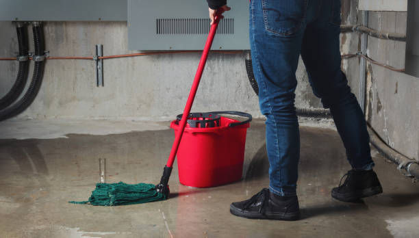 Best Flood damage cleanup  in Aubrey, TX
