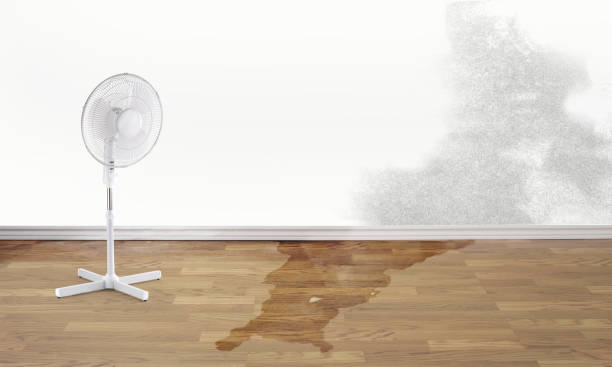 Best Emergency water damage restoration  in Aubrey, TX