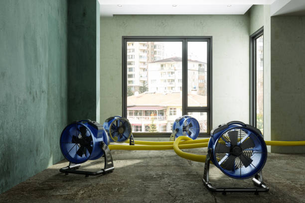 Best Water damage restoration specialists  in Aubrey, TX