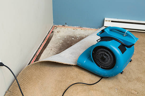 Water damage restoration process in Aubrey, TX